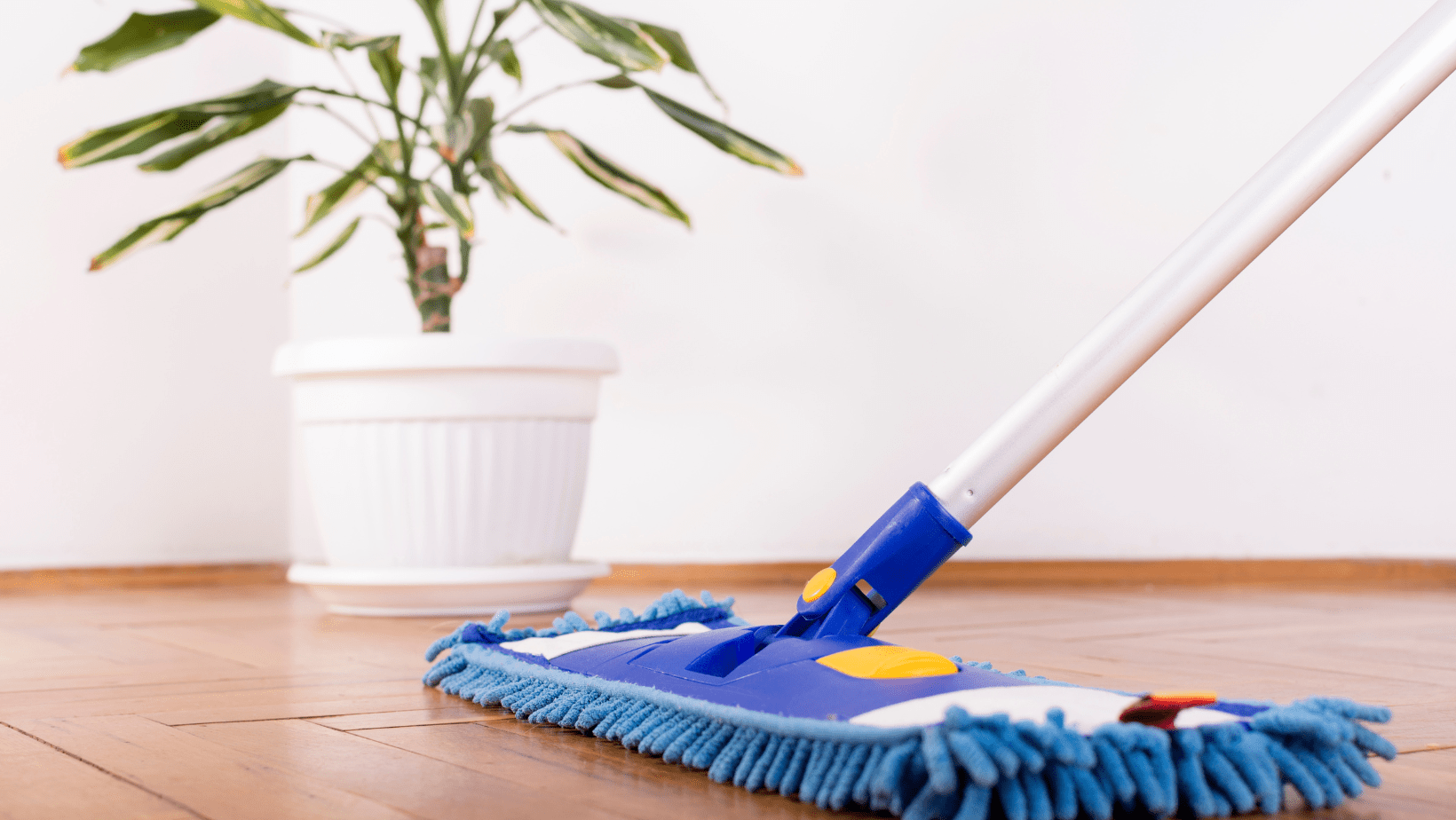 hardwood floor cleaning