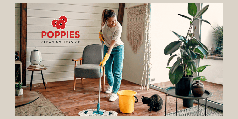 Professional domestic cleaning services